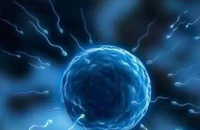 2026安徽三代试管生孩子医院怎么选（附热门试管医院名单）