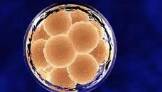 2026十大优秀试管医院名单火热出炉，助你轻松脱离不孕泥潭