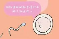 2026做三代试管哪家医院成功率高，3代试管全部明细费用