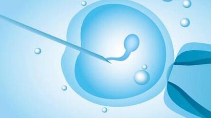 2026年江苏地区十大权威助孕中心真实可靠吗？